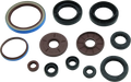 QuadBoss 09-10 Arctic CAT 1000 TRV Oil Seal Set