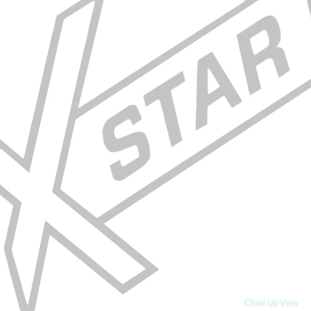 MasterCraft Boat Brand Decal - X-Star 6 3/4 X 4 1/4 Inch Silver
