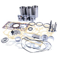 Overhaul Rebuild Kit for Kubota D1005 Engine B2100 B2320 B7500 B7510 Bobcat 463