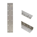 Godfrey Pontoon Boat Hinge - 12 X 2 1/4 Inch 16GA Stainless Steel