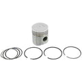 John Deere PISTON WITH RINGS RK344 2010 (GAS)