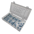 Nickel Plated Iron Grease Nipple Set 110 Pieces for Efficient Lubrication