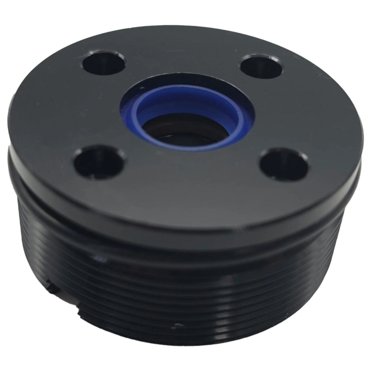 Trim Cylinder End Cap Assembly & Seal, Johnson Evinrude 60-300HP Outboard FSM065