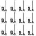 JDS5597-STR Valve Train Kit Fits John Deere 4000 4020 4230
