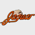 Bass CAT Boat Raised Brand Decal - Jaguar Orange Holographic Sticker