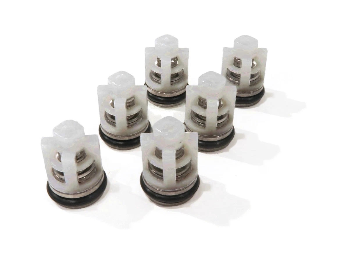 Check Valve Repair Kit for Himore PWV25/2.3, PW24/2.4H Pressure Washer Pumps