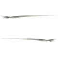 Crownline Boat Graphic Hull Decals 22002 - Silver Black (2PC)
