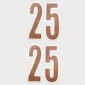 Tracker Boat 25 Decal 161880 - Bronze Metallic Stickers (pair)
