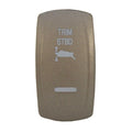 Carling Boat Rocker Switch Cover - Trim STBD Silver Illuminating Plate