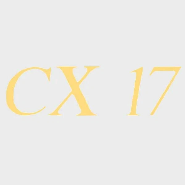 Crestliner Boat Model Decal 2007473 - CX-17 Gold Sticker