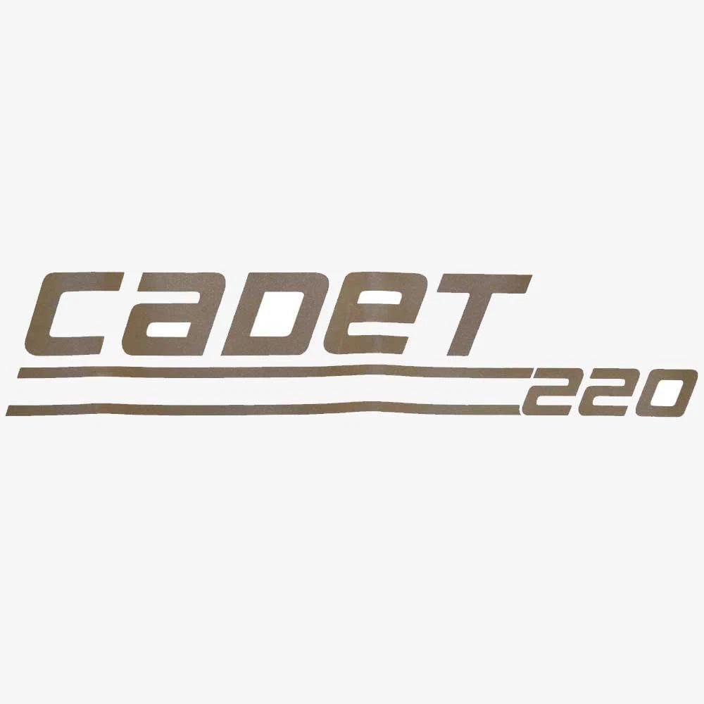 Weeres Pontoon Boat Model Decal 30000341 - Cadet 220 Gold Sticker