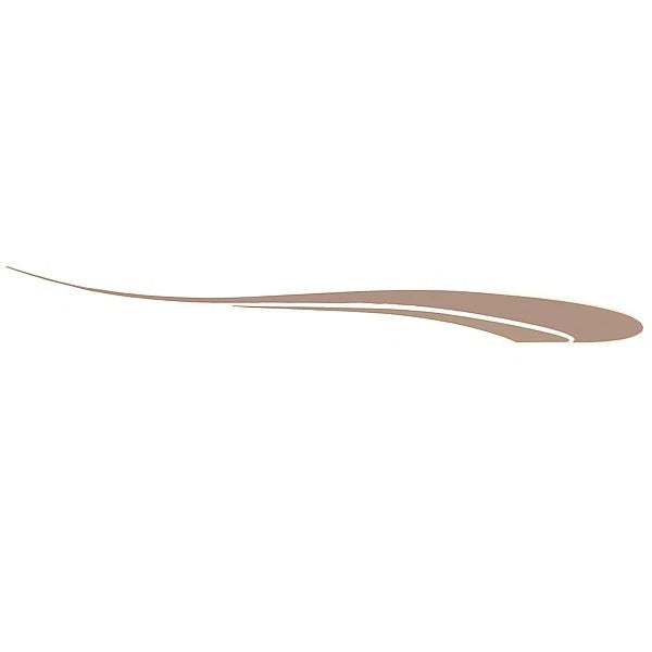Rinker Boat Graphic Decal 218128 - 212 Captiva Champagne - Gold