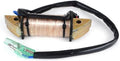 Exciter Coil Assembly for Tohatsu Outboard Engine M18 M9.9 M15 2002-2003 3G3-06021-1