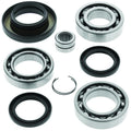 QuadBoss 05-14 Honda TRX500FA FourTrax Foreman Rubicon 4x4 AT (02) Rear Diff