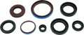 QuadBoss 12-14 Arctic CAT 550 4x4 EFI Oil Seal Set