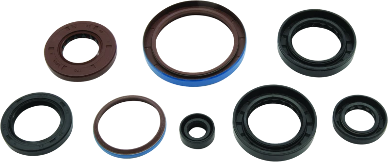 QuadBoss 12-14 Arctic CAT 550 4x4 EFI Oil Seal Set