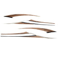 Weeres Pontoon Boat Graphic Decal Kit U26678-02 - Bronze (set of 4)
