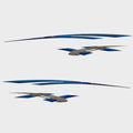 Larson Graphic Boat Decal 05730583 - Four Piece 2008 Senza (kit)