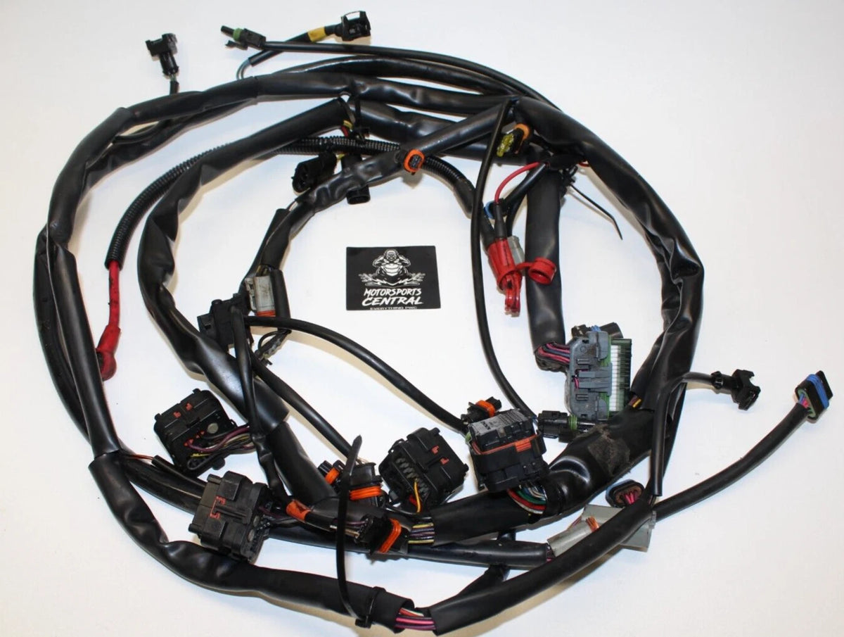 2004-2005 Sea-Doo 3D RFI 787/800 OEM Main Engine Wiring Harness 278001900