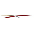 Rinker Boat Graphic Hull Decal - Captiva Burgundy Gold Sticker (STBD)