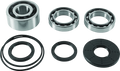 QuadBoss 2017 Polaris RZR 4 900 (02) Front Differential Bearing & Seal Kit
