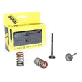 Pro X Exhaust Valve & Spring Kit for Kawasaki KX250 F 2004-2016