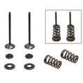 Psychic Exhaust Valve & Spring Kit for KTM 250 SX-F 2005-2007