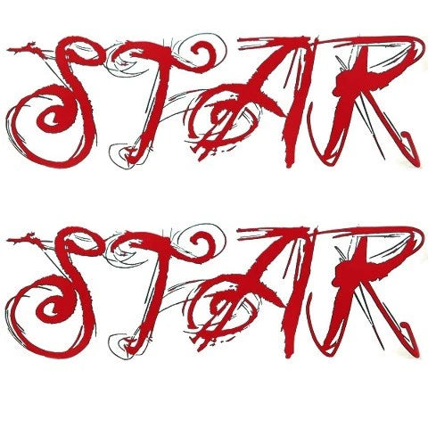 MasterCraft Boat Lettering Decals 2817002 - X-Star Red Gray (set of 2)