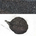 Ranger Boat Metal Glitter Flake 2503 - Black Fox (8 Oz)