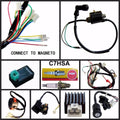 FULL WIRING HARNESS CDI COIL KILL KEY SWITCH 50/110/125 CC ATV QUAD BIKE BUGGY