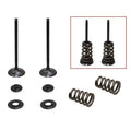 Psychic Intake Valve & Spring Kit for KTM 250 SX-F 2005-2007