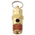 Pressure Valve 150 PSI Air Compressor Explosion-proo F Type Inlet Connection