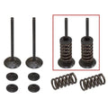 Psychic Intake Valve & Spring Kit for KTM 250 EXC-F 2008-2013