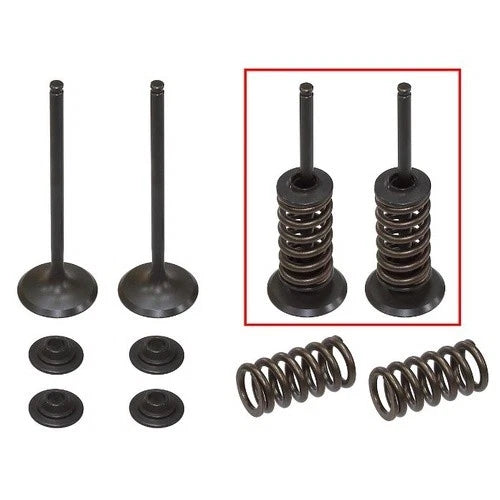 Psychic Intake Valve & Spring Kit for KTM 250 EXC-F 2008-2013