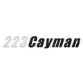 Ranger Boat Raised Decal 9891406 - 223 Cayman Silver Black Sticker