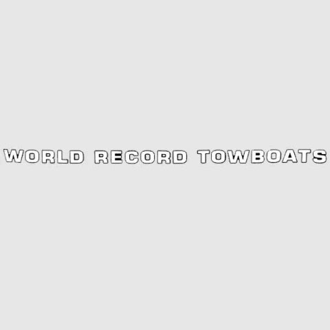 MasterCraft Boat Raised Decal 751917 - World Record White Sticker